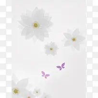 花朵蝴蝶灰色背景