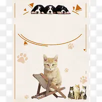 宠物可爱小猫小狗宣传推广活动