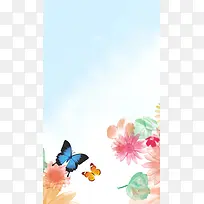 蝴蝶海报