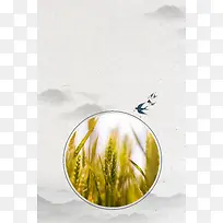 灰色简约风格节气小满海报
