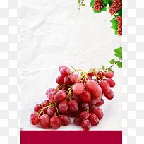 农产品葡萄海报背景素材