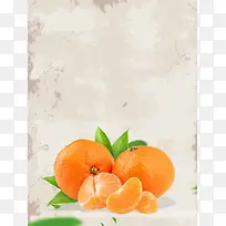 新鲜橘子水果广告宣传