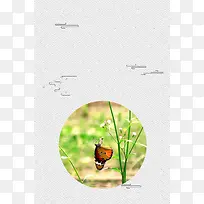 018灰色清新极简风格惊蛰节气海报