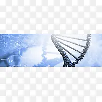 3D结构基因遗传背景banner