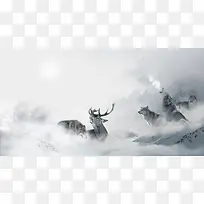 雪原动物主题背景素材