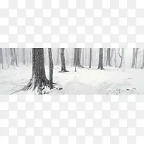 冬季树林淘宝背景