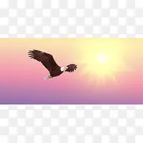 艳阳高照雄鹰展翅banner背景