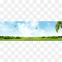 春天踏青自然风光大气蓝色banner