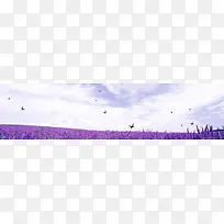 紫色背景