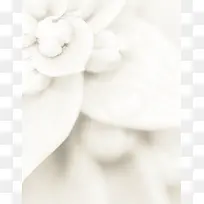 浪漫唯美白色花朵大气神秘高清大图渐变背景