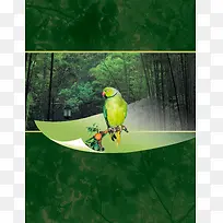 自然生态海报背景素材