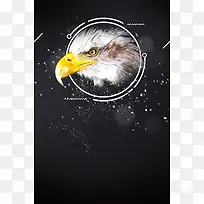 黑金精英汇招聘海报