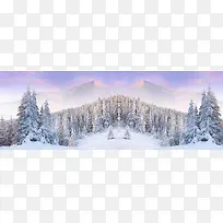 动漫冬季雪景松林背景banner