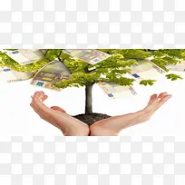 创意发财树金融海报