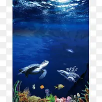 海底世界海族馆旅游宣传大气海报背景模板