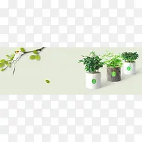 简洁创意盆栽植物海报