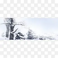 冬季积雪背景