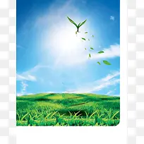 电灯照明灯泡广告绿地蓝天白云