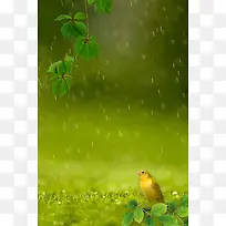 树叶小鸟清新清爽小雨广告背景