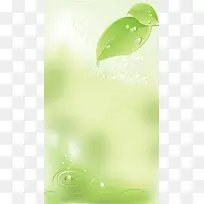 绿色唯美清新PPT背景H5背景