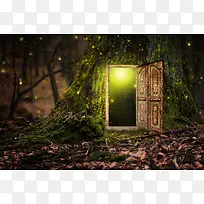 魔幻森林童话门框背景