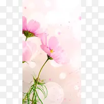 艺术之花手绘H5背景素材