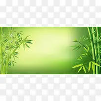 绿色竹子背景海报