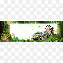 绿色森林花草多肉绿植淘宝多肉banner