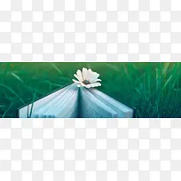 学生校园背景banner图