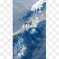 蓝色大海海豚手机端H5背景