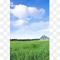 蓝天白云树木房屋草地印刷背景