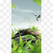 蜂鸟H5背景