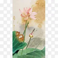荷花绽放H5背景素材