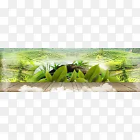 淘宝简约清新绿茶海报banner