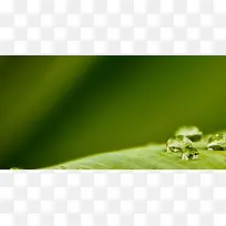 水滴