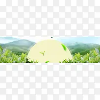 绿茶清新绿色banner