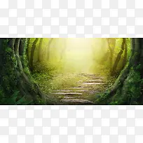 树林梦幻背景