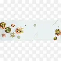 绿色文艺小清新多肉植物电商banner