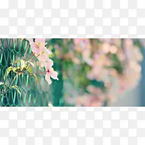 文艺篱笆花朵背景