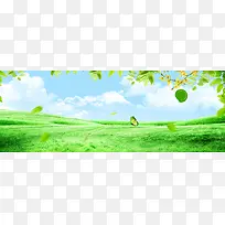 绿色清新背景
