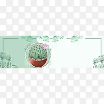 手绘绿色清新多肉banner