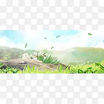 唯美淡雅茶品banner