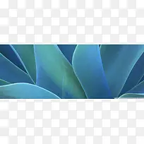 唯品会京东banner