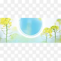 淘宝护肤品清新油菜花背景banner