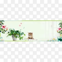 绿色小清新桌面宠物猫咪绿植banner