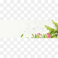 淘宝女装banner创意设计芭蕉树 花瓣 树叶