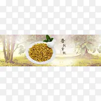 淘宝茶叶花茶清新树林背景banner