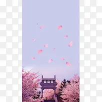 紫色梦幻花瓣樱花PSD分层H5背景素材