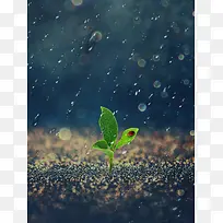 清新雨季海报背景