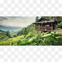 初夏荷叶乡村建筑小清新建筑风背景